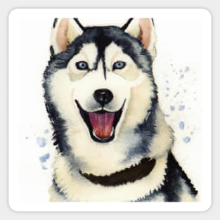 Siberian Husky Watercolor - Gift For Dog Lovers. Cool dog design for Chukcha owners. Features siberian husky with water color style. Great dog artwork for Husky Sibe lovers. Sticker